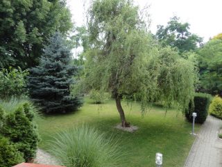 Eladó 300 m²-escsaládi ház Fót, Szérűskert utca: 190'000'000 Ft