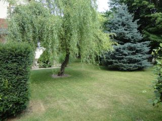 Eladó 300 m²-escsaládi ház Fót, Szérűskert utca: 190'000'000 Ft