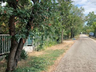 Eladó 34 m²-esüdülő Gárdony (Agárd) , Csendes kertvárosi utca: 35'900'000 Ft