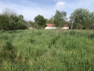 Eladó 663 m²-estelek Gárdony (Agárd) , Kígyó utca: 50'900'000 Ft