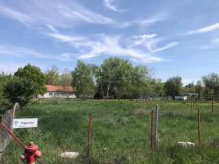 Eladó 663 m²-estelek Gárdony (Agárd) , Kígyó utca: 51'900'000 Ft