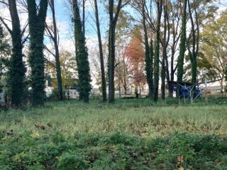 Eladó 1860 m²-estelek Gárdony, Chernel J. utca: 82'700'000 Ft