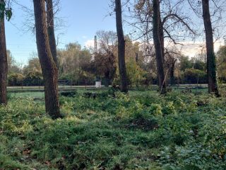 Eladó 1860 m²-estelek Gárdony, Chernel J. utca: 82'700'000 Ft