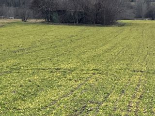 Eladó 4136 m²-estelek Gárdony, Géza fejedelem utca: 32'000'000 Ft