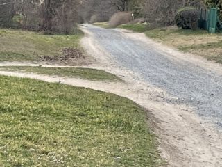 Eladó 4136 m²-estelek Gárdony, Géza fejedelem utca: 32'000'000 Ft