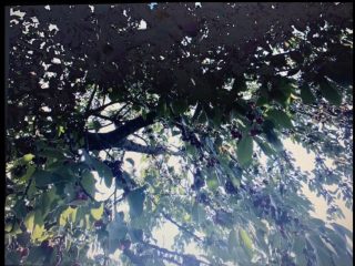 Eladó 4521 m²-estelek Gárdony, Géza fejedelem utca: 39'900'000 Ft