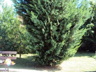 Eladó 208 m²-escsaládi ház Gárdony, Vak Bottyán utca: 139'000'000 Ft