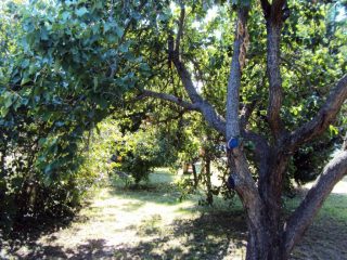 Eladó 208 m²-escsaládi ház Gárdony, Vak Bottyán utca: 139'000'000 Ft