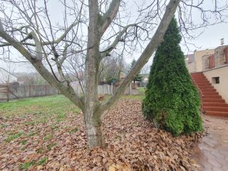 Eladó 148 m²-escsaládi ház Gödöllő, Honvéd utca közeli utca: 134'000'000 Ft