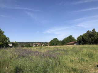 Eladó 9825 m²-estelek Gödöllő, Központhoz közeli csendes utca: 350'500'000 Ft
