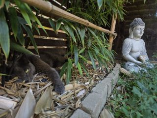 Eladó 94 m²-estársasházi lakás Gödöllő, Szkíta körút: 119'900'000 Ft