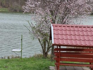 Eladó 40 m²-esüdülő Gomba, Gomba Horgásztó utca: 23'900'000 Ft