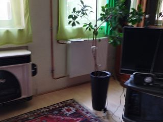 Eladó 143 m²-escsaládi ház Gyál, Gyálliget: 79'000'000 Ft