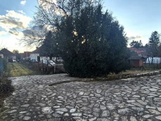 Eladó 830 m²-estelek Gyömrő, Központhoz közeli utca: 39'000'000 Ft