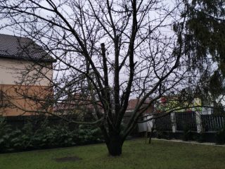 Eladó 84 m²-escsaládi ház Gyömrő, Petőfi telep: 113'000'000 Ft