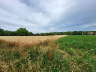 Eladó 147 m²-escsaládi ház Gyúró, Gyúró: 169'900'000 Ft