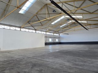 Kiadó 1350 m²-estelephely Halásztelek, II. Rákóczi Ferenc utca: 8'000 EUR