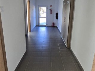 Kiadó 1350 m²-estelephely Halásztelek, II. Rákóczi Ferenc utca: 8'000 EUR