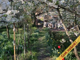 Eladó 85 m²-escsaládi ház Hatvan, Új-Hatvan: 46'800'000 Ft