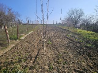 Eladó 120 m²-escsaládi ház Héhalom, Kossuth utca: 42'000'000 Ft