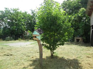 Eladó 60 m²-escsaládi ház Helesfa, Fő utca: 10'800'000 Ft