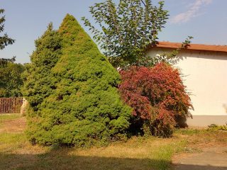 Eladó 108 m²-escsaládi ház Heves, Fő út mellet: 38'900'000 Ft