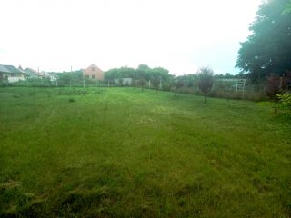 Eladó 2392 m²-estelek Inárcs, M5-ös autópálya közelében: 33'000'000 Ft