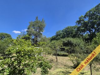 Eladó 1000 m²-estelek Isaszeg, Bogár utca környéki utca: 33'900'000 Ft