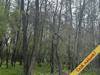 Eladó 110 m²-esüdülő Isaszeg, Öreghegy utca: 69'900'000 Ft