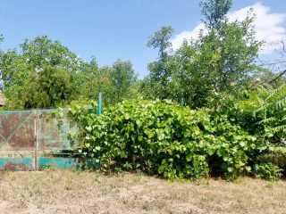 Eladó 2081 m²-estelek Jászberény, Neszür 7 dűlő: 3'700'000 Ft