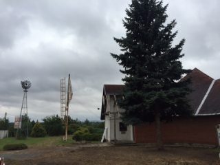 Eladó 320 m²-esegyéb üzlethelyiség Kajászó, M7 parkoló út: 139'000'000 Ft