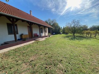 Eladó 11000 m²-esmezőgazdasági ingatlan Kakucs, Világos Tanya,  Kakucstól 1,5 km: 65'000'000 Ft