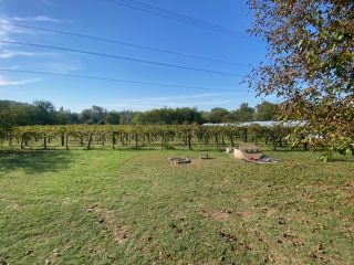 Eladó 11000 m²-esmezőgazdasági ingatlan Kakucs, Világos Tanya,  Kakucstól 1,5 km: 65'000'000 Ft