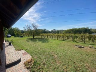 Eladó 11000 m²-esmezőgazdasági ingatlan Kakucs, Világos Tanya,  Kakucstól 1,5 km: 65'000'000 Ft