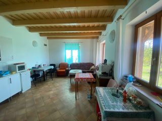 Eladó 11000 m²-esmezőgazdasági ingatlan Kakucs, Világos Tanya,  Kakucstól 1,5 km: 65'000'000 Ft