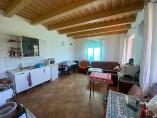 Eladó 11000 m²-esmezőgazdasági ingatlan Kakucs, Világos Tanya,  Kakucstól 1,5 km: 65'000'000 Ft