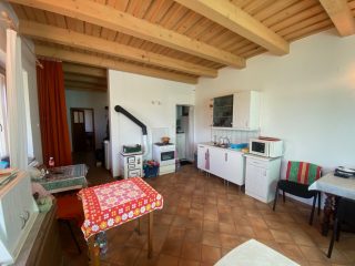 Eladó 11000 m²-esmezőgazdasági ingatlan Kakucs, Világos Tanya,  Kakucstól 1,5 km: 65'000'000 Ft