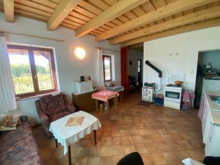 Eladó 11000 m²-esmezőgazdasági ingatlan Kakucs, Világos Tanya,  Kakucstól 1,5 km: 65'000'000 Ft