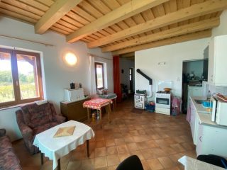 Eladó 11000 m²-esmezőgazdasági ingatlan Kakucs, Világos Tanya,  Kakucstól 1,5 km: 65'000'000 Ft