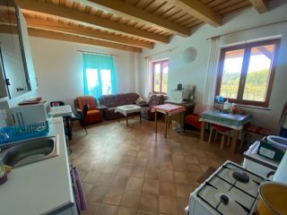 Eladó 11000 m²-esmezőgazdasági ingatlan Kakucs, Világos Tanya,  Kakucstól 1,5 km: 65'000'000 Ft