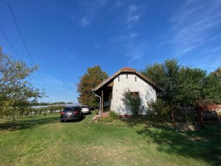 Eladó 11000 m²-esmezőgazdasági ingatlan Kakucs, Világos Tanya,  Kakucstól 1,5 km: 65'000'000 Ft