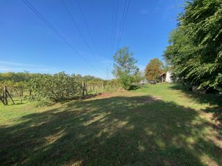 Eladó 11000 m²-esmezőgazdasági ingatlan Kakucs, Világos Tanya,  Kakucstól 1,5 km: 65'000'000 Ft