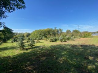 Eladó 11000 m²-esmezőgazdasági ingatlan Kakucs, Világos Tanya,  Kakucstól 1,5 km: 65'000'000 Ft