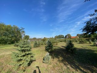 Eladó 11000 m²-esmezőgazdasági ingatlan Kakucs, Világos Tanya,  Kakucstól 1,5 km: 65'000'000 Ft