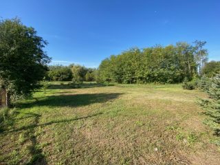 Eladó 11000 m²-esmezőgazdasági ingatlan Kakucs, Világos Tanya,  Kakucstól 1,5 km: 65'000'000 Ft