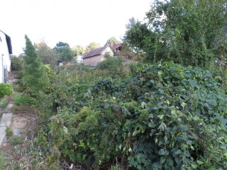 Eladó 586 m²-estelek Karád, Központ: 6'000'000 Ft