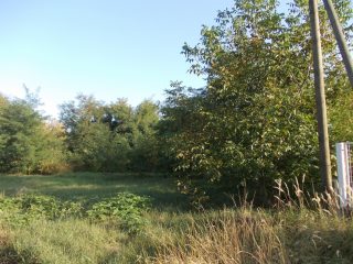 Eladó 2618 m²-estelek Kerekharaszt, Kartali utca: 20'000'000 Ft