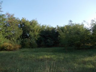 Eladó 2618 m²-estelek Kerekharaszt, Kartali utca: 20'000'000 Ft