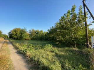 Eladó 2618 m²-estelek Kerekharaszt, Kartali utca: 20'000'000 Ft