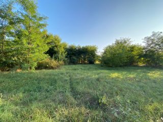 Eladó 2618 m²-estelek Kerekharaszt, Kartali utca: 20'000'000 Ft